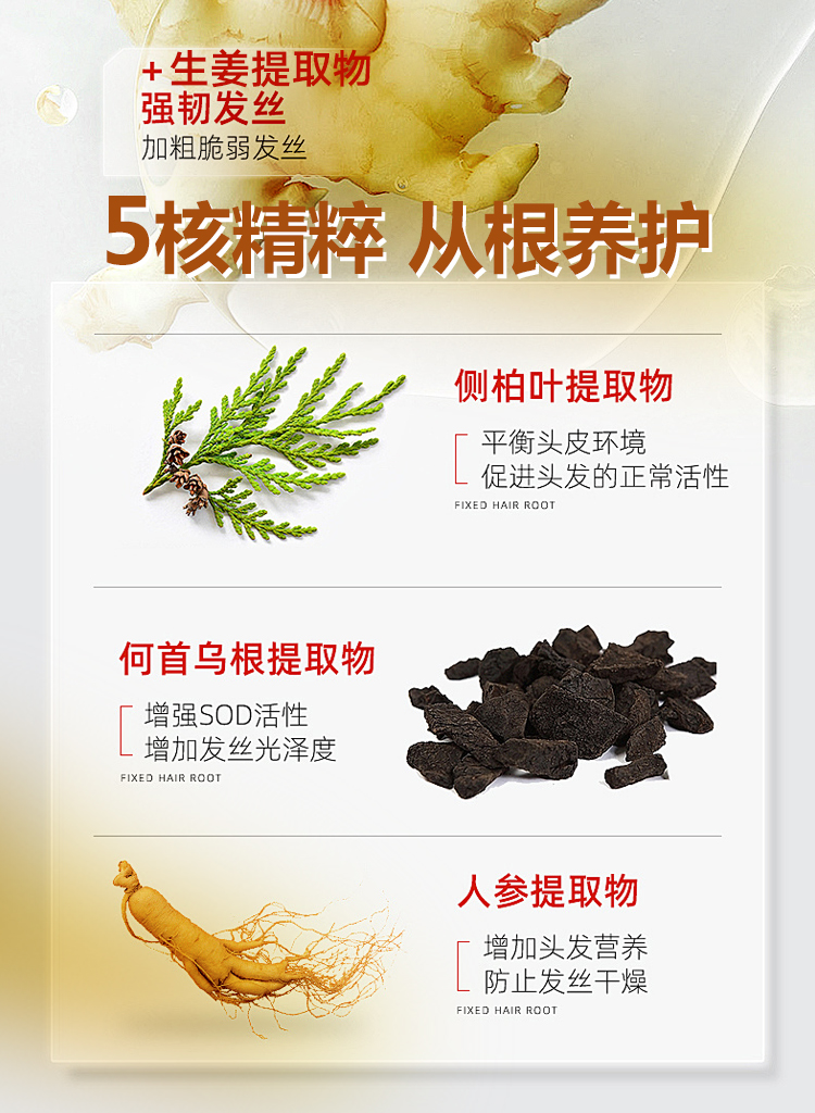 宝丝捷防脱固发洗发水---750X1024详情页5.jpg